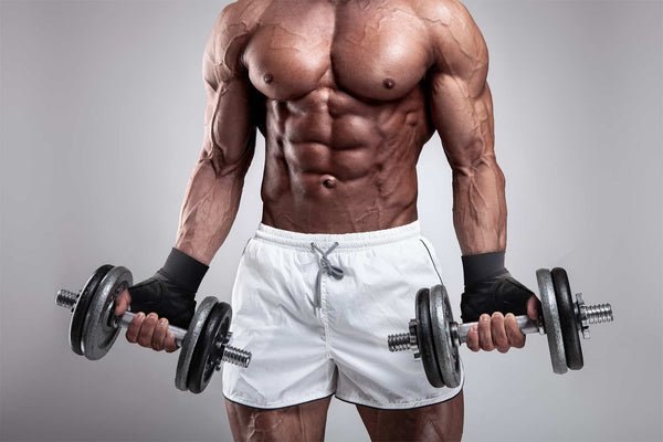 BLACKROX Fitnesshandschuhe V3 Boston